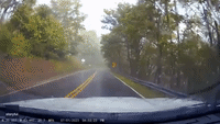 Dashcam Footage Shows Tree Smashing Windshield of Brand New Car