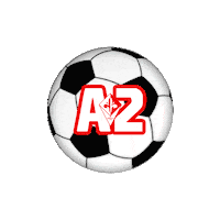 Firenzec5 firenzec5 firenzecalcioa5 delfirenzevantoegloria conilgigliosulpetto Sticker