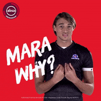 south african soccer GIF