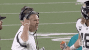 Jacksonville Jaguars Football GIF by NFL