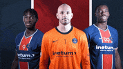 France Sport GIF by Paris Saint-Germain Handball