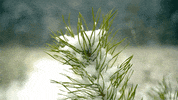 Snow Winter GIF by Living Stills