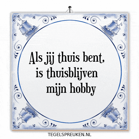 Humor Nl GIF by Tegelspreuken.nl