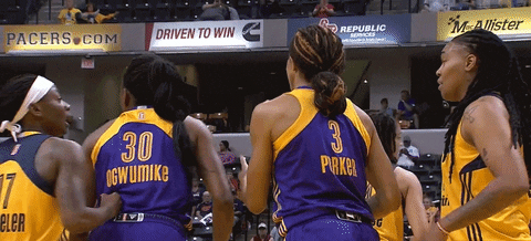 basketball GIF by Indiana Fever
