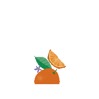 Flower Orange Sticker by Tasman Bay Food Co.