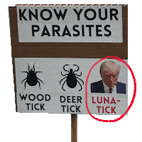 Organize Human Rights Sticker by Creative Courage