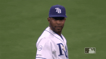 Major League Baseball Sport GIF by MLB