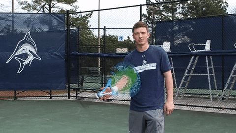 vwu_marlins giphyupload marlins vwu wethebeach GIF