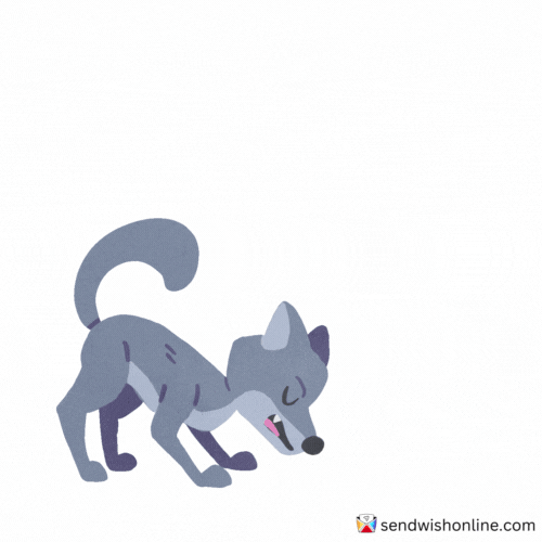 Fox Wow GIF by sendwishonline.com
