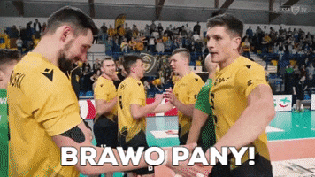 Volleyball Bravo GIF by GKS Katowice