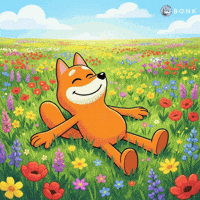 Relaxed Sunny Day GIF by BONK