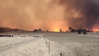Fire Rages on Horizon Near Tumbarumba, New South Wales