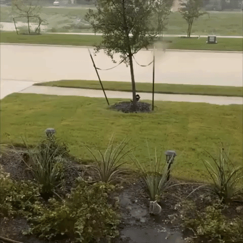 Central Texas Street Turns Into 'River' After Nearly 7 Inches of Rainfall