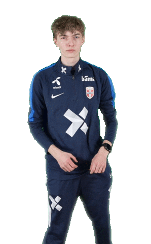 Sport Time Sticker by Norges Fotballforbund