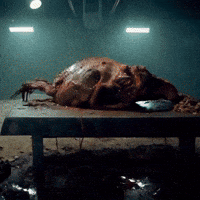 Frog Pepe GIF by Komplex