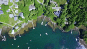 maine GIF