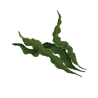 New Zealand Beauty Sticker by Living Nature