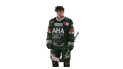 aevpanther celebration hockey jubel michael Sticker