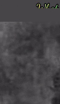 SparkleDemigoddess giphygifmaker carlson that was then this is now twttin GIF