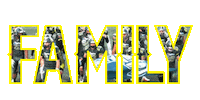 Football Nfl Sticker by IMPERIALSREUS