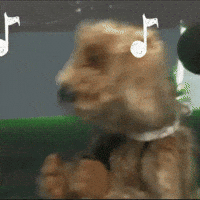 Perros GIF by LIBERUM
