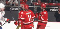 hockey GIF by Charlotte Checkers