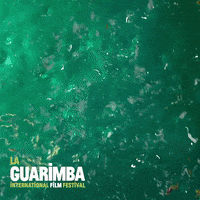 Scared Pool Party GIF by La Guarimba Film Festival
