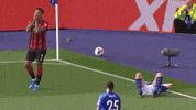 Football Soccer GIF by AFC Bournemouth