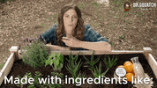 Essential Oils Plants GIF by DrSquatchSoapCo