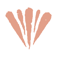 Icon Shell Sticker by DWD Travel
