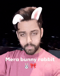 Bunny Rabbit GIF