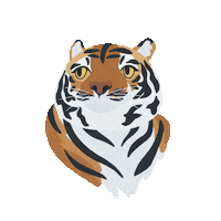 scoutdandelion happy cat animal tiger Sticker