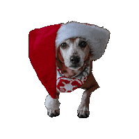 Christmas Dog Sticker by Geekster Pets
