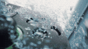 This Is An Xbox GIF by Xbox