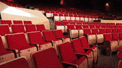 elcantoral cdmx venue coyoacan eventoscdmx GIF