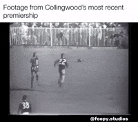 Afl Footy GIF
