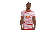Football Thumbs Down Sticker by RB Leipzig