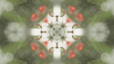 Art Love GIF by jorgemariozuleta