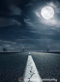 Coin Road GIF by Sad Hamster