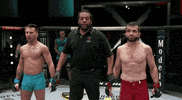 Episode 4 Win GIF by UFC
