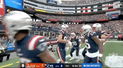 New England Patriots Football GIF by NFL