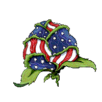 Libertycabbage Sticker by zoefannet