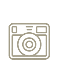 silk_and_honey white photo couture honey Sticker