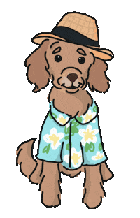 Duke Sticker