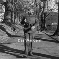 fauteuil wandern basel militär läppli GIF