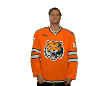 Hockey Jordan Sticker by HC Amur