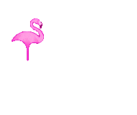pinkflamingogoldcoast pink fabulous flamingo 5 stars Sticker