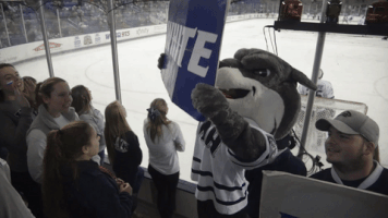 new hampshire cheering GIF by University of New Hampshire