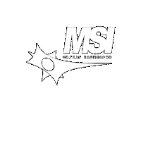 Msi Credit Sticker by MSI Credit Solutions