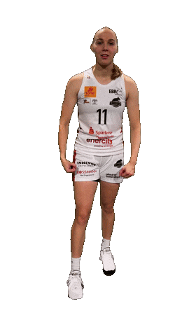 Basketball Bundesliga Sticker by TKH Luchse